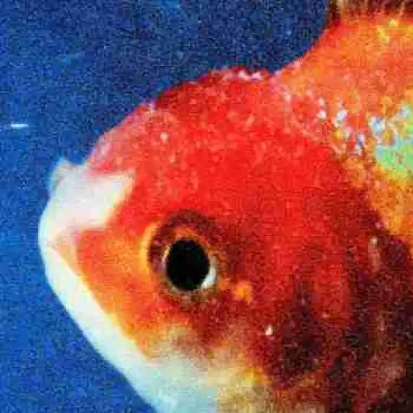 Big Fish Theory BY Vince Staples